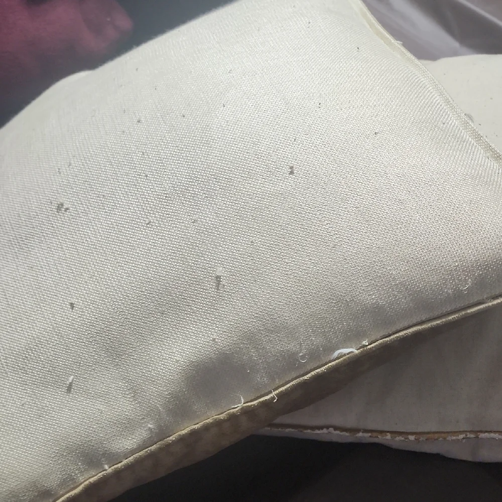 Beige and Silver Accent Pillows